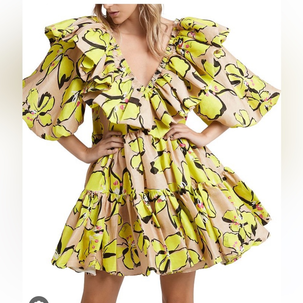 AJE Pelicano Mini Dress